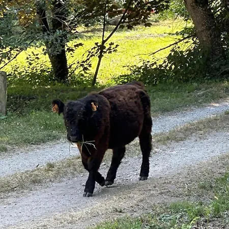 Κάμπινγκ Domaine Du Fourtet