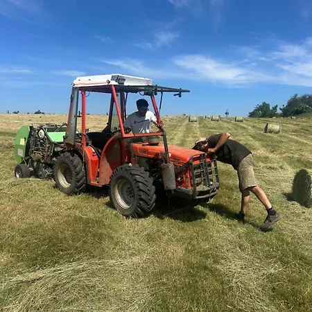 Domaine Du Fourtet * Arfons