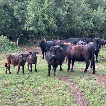 Domaine Du Fourtet Camping Arfons