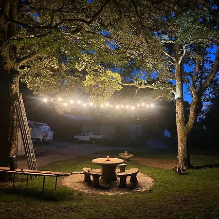 Domaine Du Fourtet *