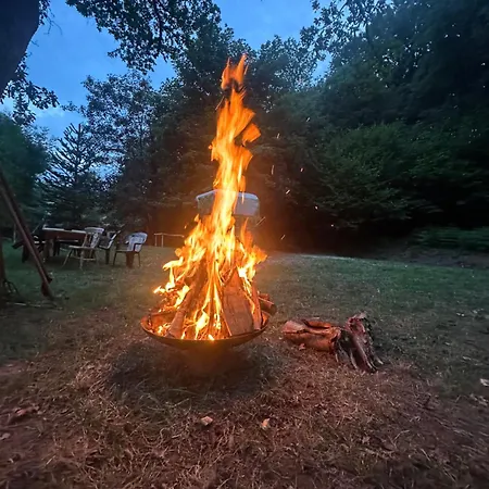 Domaine Du Fourtet Arfons