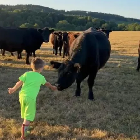 Domaine Du Fourtet *