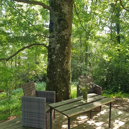 Domaine Du Fourtet