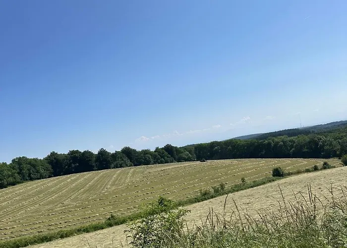 Domaine Du Fourtet Campeggio