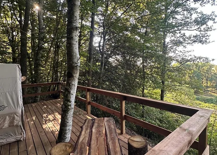 Campeggio Domaine Du Fourtet Arfons