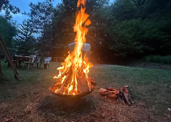 Domaine Du Fourtet Arfons