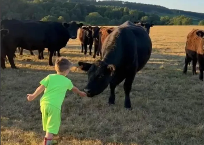 Domaine Du Fourtet *